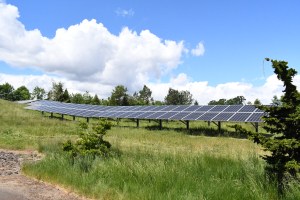 Solar panels at the Durham water resource recovery facility shine in the sun.