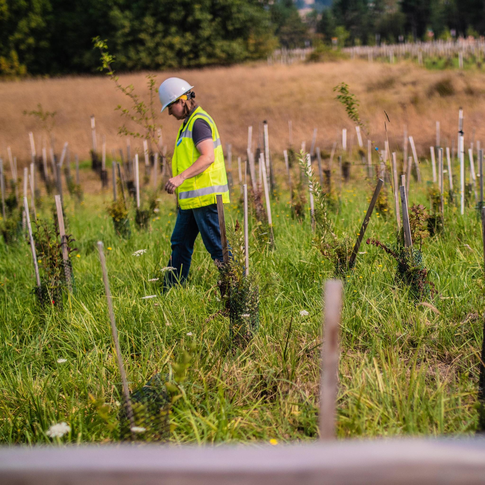 CWS Inspections - Clean Water Services