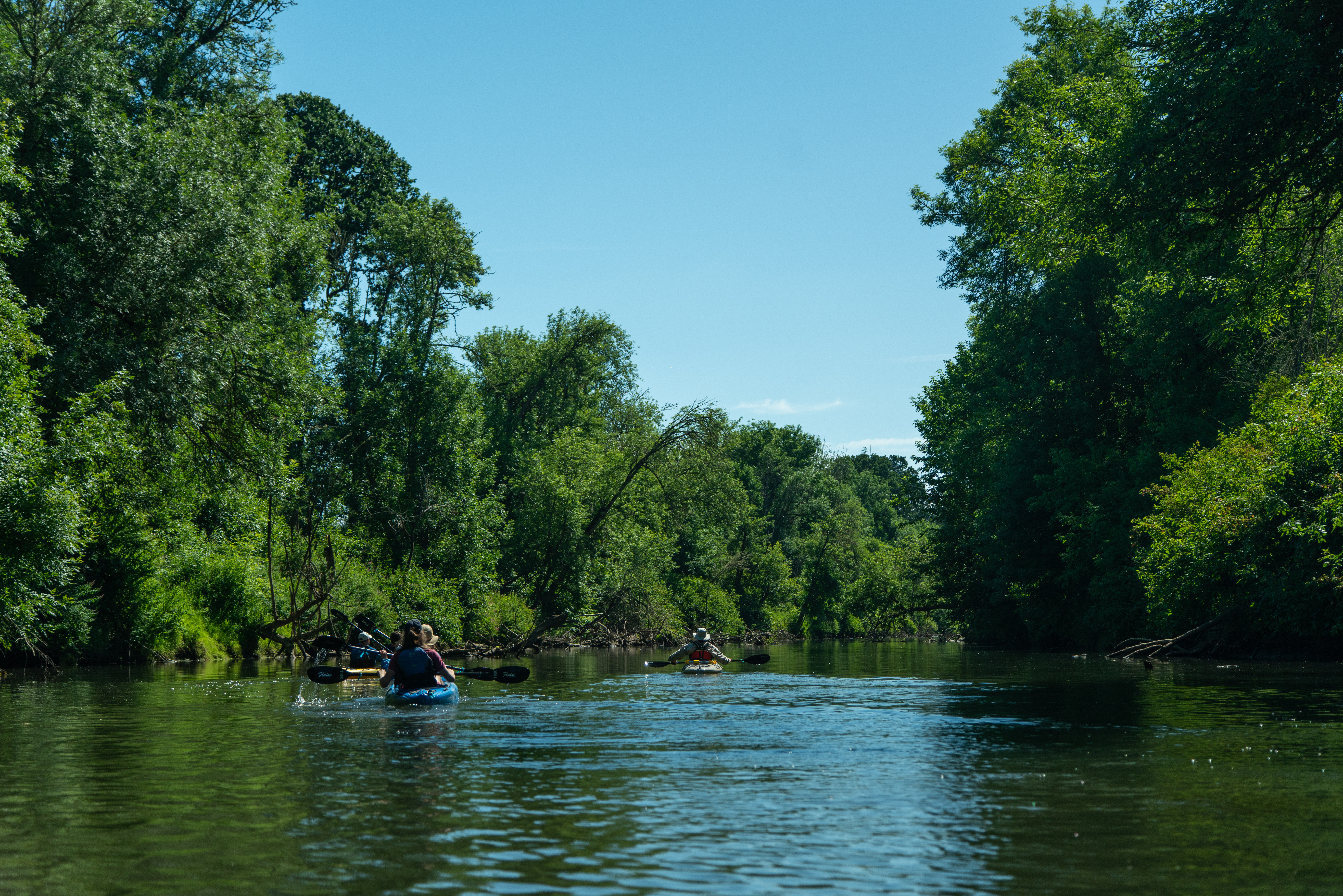 A river within the Tualatin river watershed with lush vegetation shading the water and the edges. Community members paddle on the river on a sunny day.