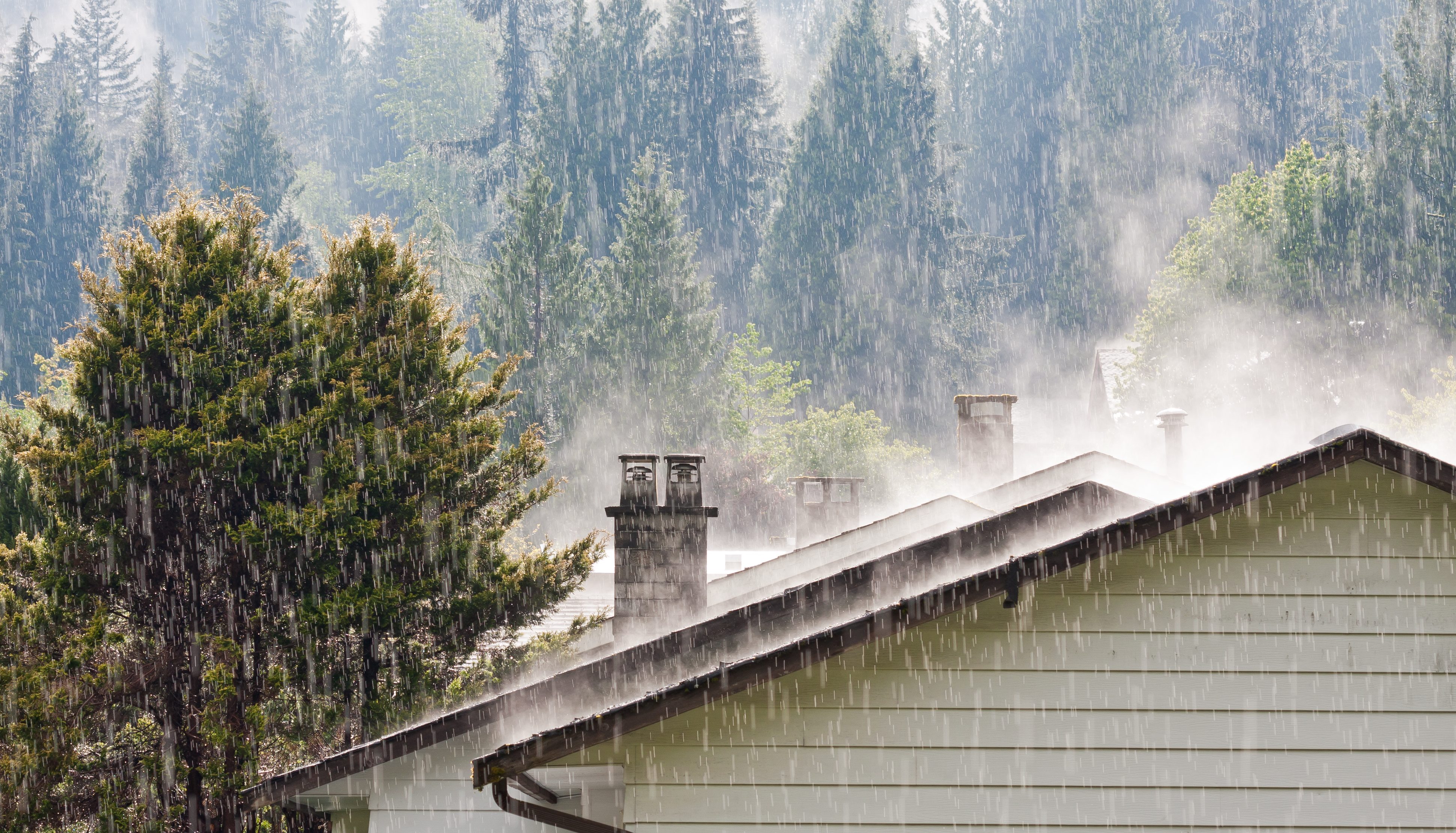 Rainfall on suburban rooftops.