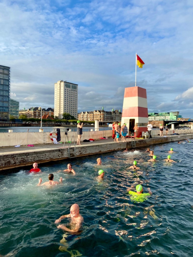 Several people swim in a harbor while some stand on a concrete walkway behind them. Some of the city of Copenhagen is visible in the background.