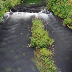 An image of Scoggins Dam